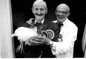 R Tucker Penclawdd with his white Leghorn hen, best bird in 1994 Gower Show and poultry judge D Little.